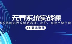 无界系统实战课:全体系落地无界改版后选择、出价、高投产做付费引流-38节