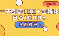 一天引流100+宝妈粉，日入1000+的蓝海项目（实战教程）