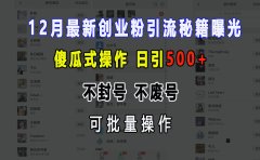 12月最新创业粉引流秘籍曝光 傻瓜式操作 日引500+ 不封号，不废号，可批量操作！