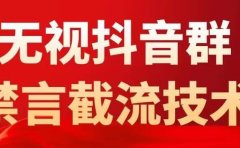 抖音粉丝群无视禁言截流技术,抖音黑科技,直接引流,0封号(教程+软件)