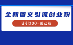 全新创业粉引流思路，我用这套方法稳定日引200+创业粉