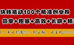 1块钱撬动100个精准创业粉，简单粗暴高效长期精准，单人单日引流500+创业粉，日变现2000+