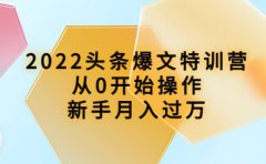 2022头条爆文特训营：从0开始操作，新手月入过万（16节课时）