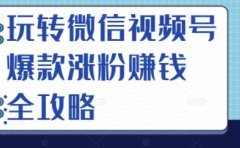 玩转微信视频号爆款涨粉赚钱全攻略，让你快速抓住流量风口，收获红利财富