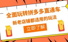 全面玩转拼多多直通车,新老店铺都适用的玩法(12节精华课)