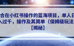 适合在小红书操作的蓝海项目,单人日收入过千,操作及其简单(保姆级玩法)【揭秘】