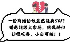 一份离婚协议竟然能卖5W?婚恋超级大市场,很残酷但却很吃香,小白可做