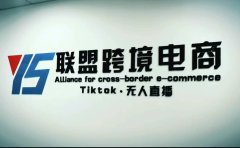 Tiktok无人直播，不出镜不剪辑不拍摄不发货无售后的跨境短视频玩法