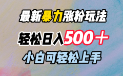 最新暴力涨粉玩法，轻松日入500＋，小白可轻松上手