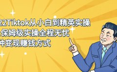 2022Tiktok从小白到精英实操特训营，带你掌握Tiktok账号运营
