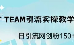 ST TEAM引流实操课，日引流网创粉100+