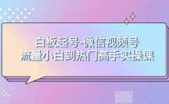 白板起号-微信视频号流量小白到热门高手实操课