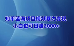 知乎蓝海项目视频暴力变现  小白也可日赚2000+