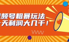 视频号粗暴玩法,一天利润大几千