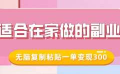 适合在家做的副业，小红书冷知识账号，无脑复制粘贴一单变现300
