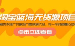 淘宝蓝海无货源项目，不囤货不推广只做冷门高利润代发