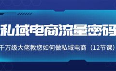 私域电商流量密码：千万级大佬教您如何做私域电商（12节课）