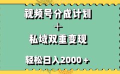 视频号分成计划+私域双重变现,轻松日入1000+,无任何门槛,小白轻松上手