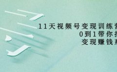 好望角·11天视频号变现训练营，从0到1打造变现赚钱系统（价值398）