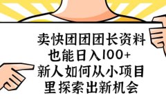 卖快团团团长资料也能日入100+ 新人如何从小项目里探索出新机会