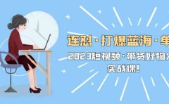 连怼·打爆蓝海·单品，2023短视频·带货好物分享·实战课