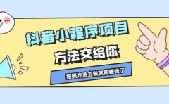 抖音小程序项目，方法交给你，按照方法去做就行了