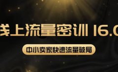 2022秋秋线上流量密训16.0：包含 暴力引流10W+中小卖家流量破局技巧 等等！