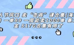 一单利润99 一周能出1000单,卖杏商课程合集(海王秘籍),暴力掘金
