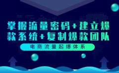 电商流量起爆体系：掌握流量密码+建立爆款系统+复制爆款团队（价值599）