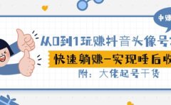 从0到1玩赚抖音头像号：快速躺赚-实现睡后收！附：大佬起号干货！