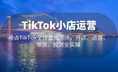 TikTok小店运营 抢占TikTok全球蓝海市场，开店、运营、带货、投流全实操