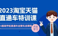 2023淘宝·天猫直通车评特训课,0基础学起直通车运营实战课程(8节课时)