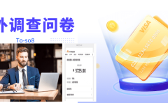 跨境问卷项目，操作简单一天稳定100美刀，每个月能挣1-3W