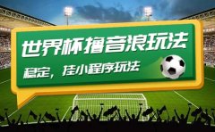 最新口子-世界杯撸音浪教程，稳定，小程序玩法 价值998