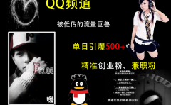 QQ频道，被低估的流量巨兽，单日引爆500+精准创业粉、兼职粉的引流秘籍