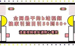 全网最干的b站视频独家引流日引50到80+流量视频很长请耐心看完