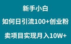 新手小白如何通过卖项目实现月入10W+