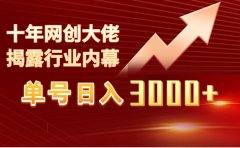 单号日入3000+,工作室内部无脑美女视频玩法,100%过原创