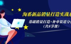 淘系新品销量打造实战系列,基础销量打造+补单渠道分析(共8节课)