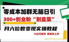 零成本加群日引300+创业粉割韭菜月六位数变现，简单无好上手！