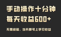 手动操作十分钟,每天收益600+,当天实操当天见收益