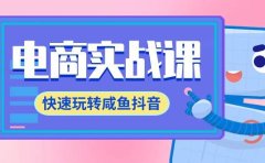 电商实战课,快速玩转咸鱼抖音,全体系全流程精细化咸鱼电商运营-71节课