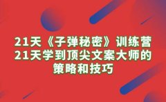 21天《子弹秘密》训练营，21天学到顶尖文案大师的策略和技巧