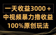 中视频暴力撸收益,日入3000+,100%原创玩法,小白轻松上手多种变现方式
