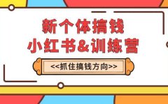 新个体·搞钱-小红书训练营:实战落地运营方法,抓住搞钱方向,每月多搞2w+