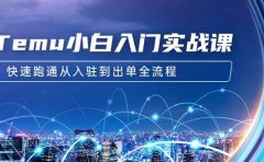 Temu小白入门实战课:跨境拼多多电商培训 快速跑通从入驻到出单全流程-12节