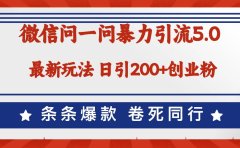 微信问一问最新引流5.0，日稳定引流200+创业粉，加爆微信，卷死同行