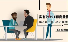 真实有效391套商业模式,年入几十到几百万案例解析(电子书+视频+图文)