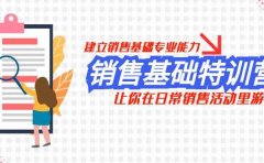 销售基础特训营,建立销售基础专业能力,让你在日常销售活动里游刃余
