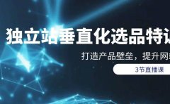 独立站-垂直化选品训练营,打造产品壁垒,提升网站利润(3节直播课)